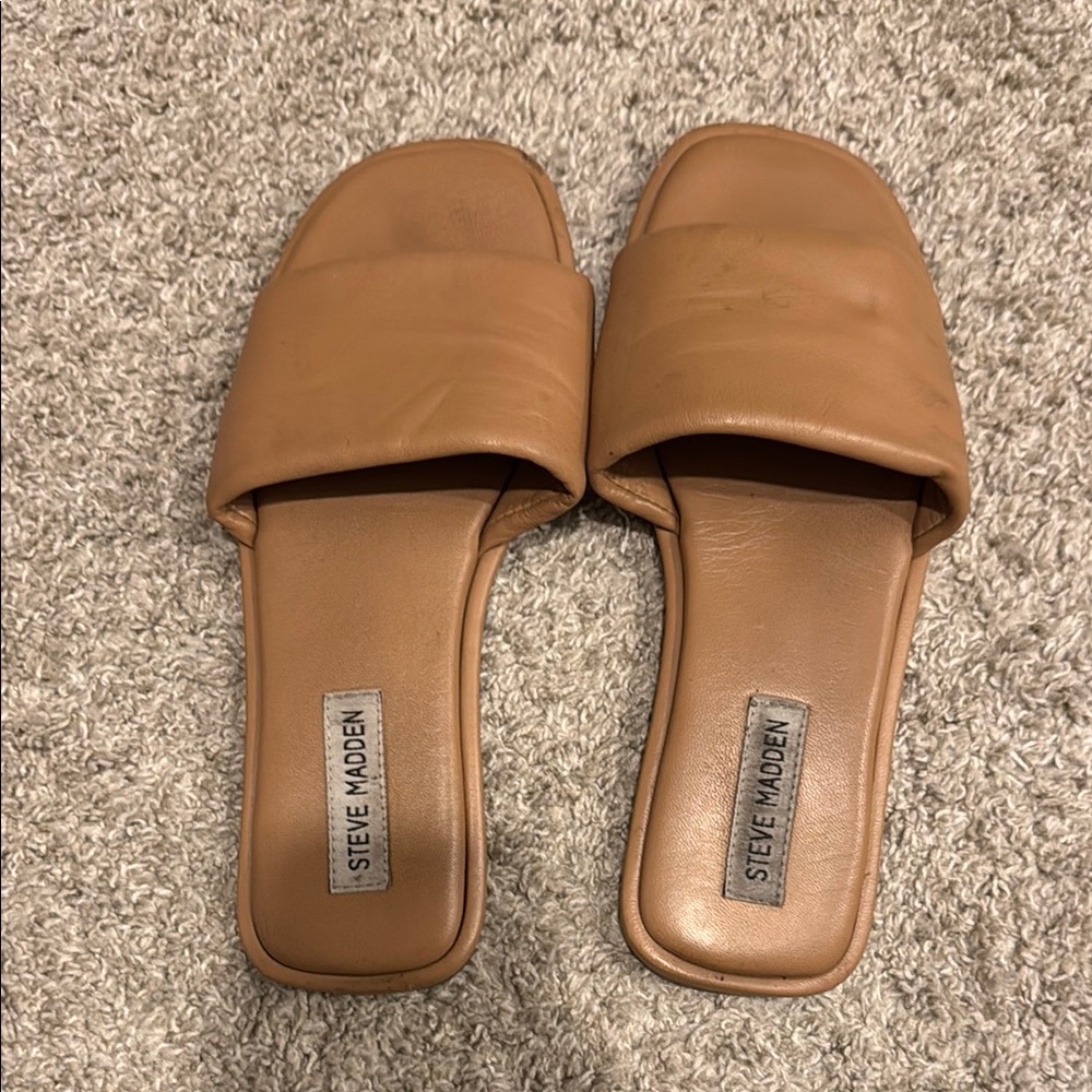 Steve Madden Brown Slide Sandals for Women